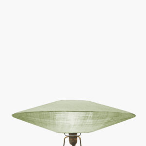 Ufo eucalyptus – Image 3