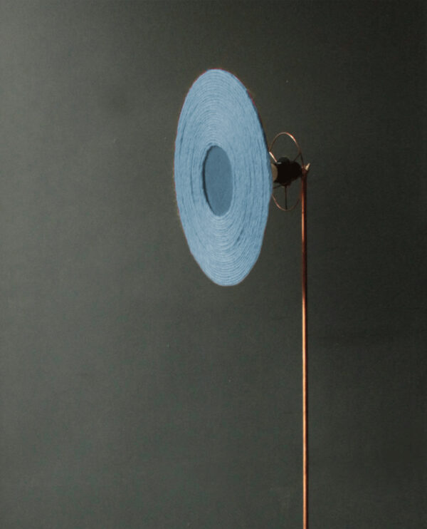 Sunflower bleu-ciel – Image 3