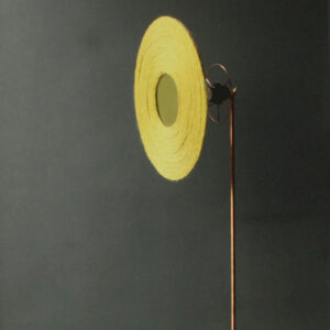 Sunflower anis – Image 3