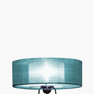 Nonne turquoise – Image 3
