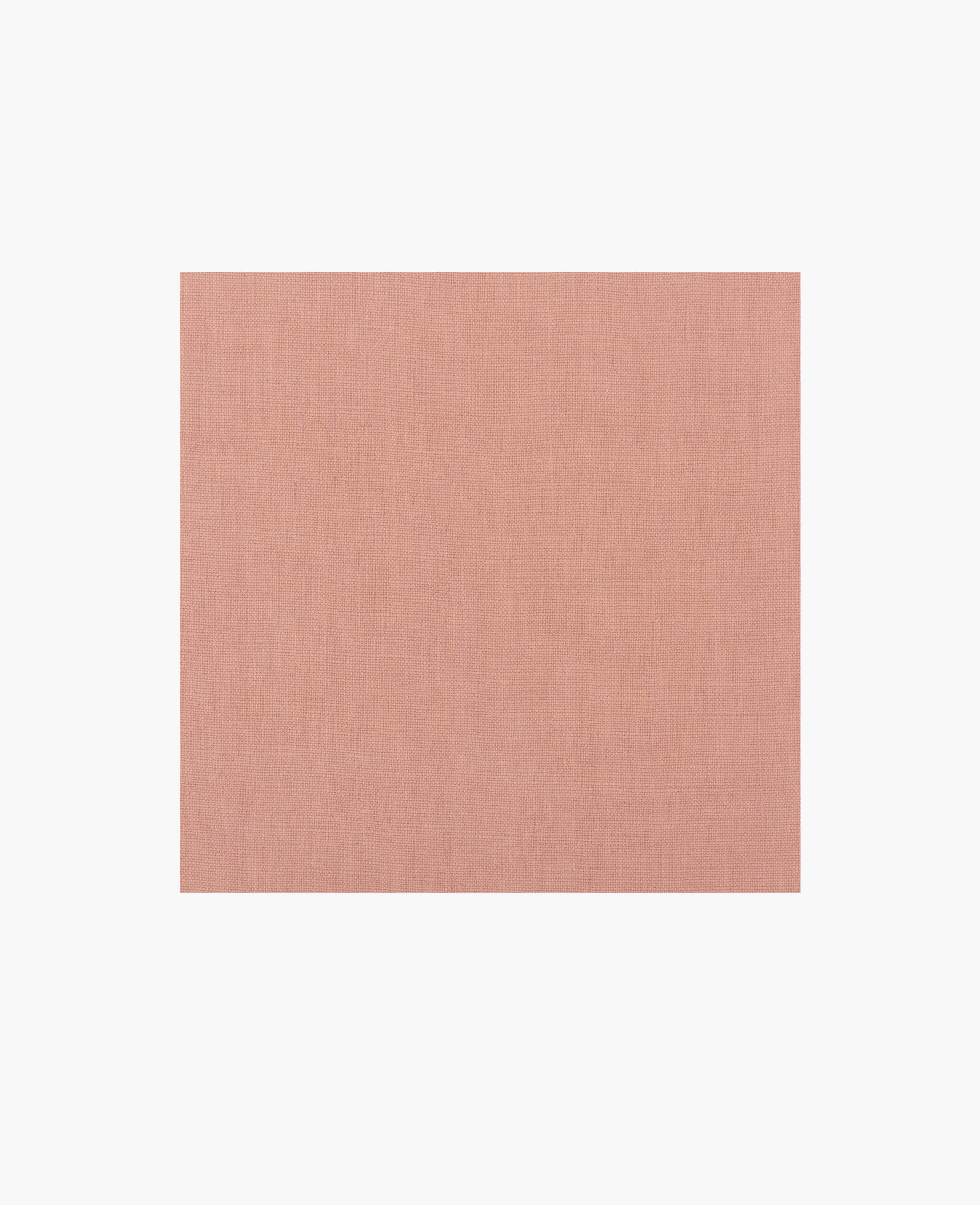 Caméléon 10 I Modèle Expo – Image 3